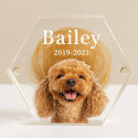 Personalised Acrylic Pet Keepsake with Photo – Fur or Tooth Memorial Box with Name & Dates