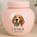 Personalised Ceramic Pet Urn with Photo – Dog Cremation Urn for Ashes with Name, Dates & Heart Tribute