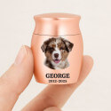Personalised Pet Keepsake Urn – Mini Dog Urn with Engraved Photo, Name & Dates