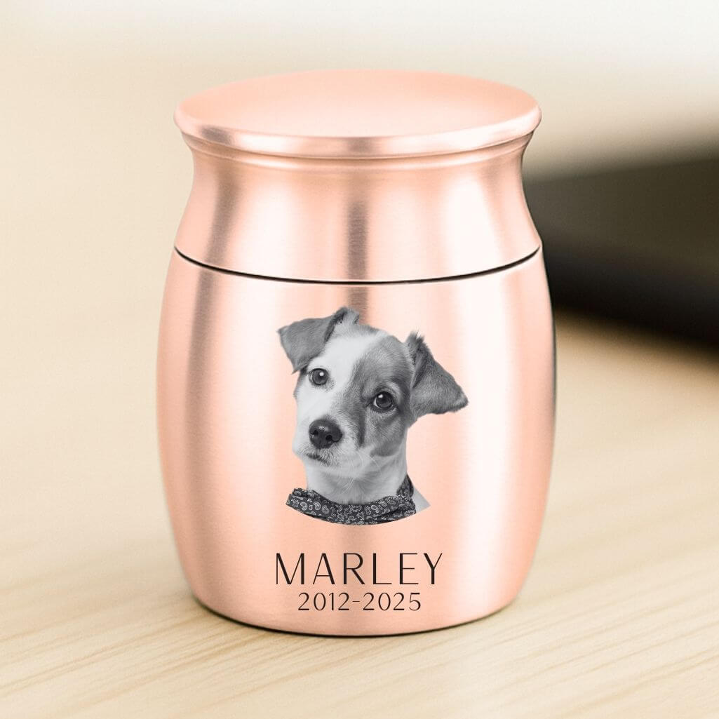 Personalised Pet Keepsake Urn – Mini Dog Urn with Engraved Photo, Name & Dates