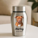 Personalised Pet Urn with Photo, Name & Dates – Stainless Steel Dog Urn