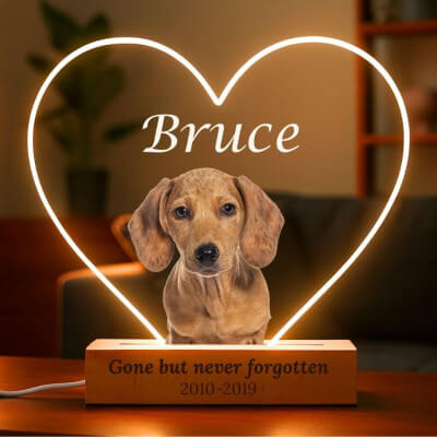 Personalised Pet Memorial LED Lamp with Photo –...