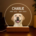 Personalised Pet Memorial LED Lamp with Photo – Round Acrylic Plaque with Engraved Name & Dates