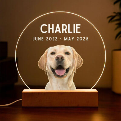 Personalised Pet Memorial LED Lamp with Photo –...