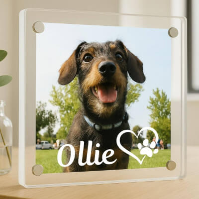 Personalised Square Acrylic Pet Memorial Photo...