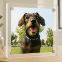 Personalised Square Acrylic Pet Memorial Photo Frame