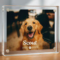 Personalised Rectangular Acrylic Pet Memorial Photo Frame – Engraved with Name & Dates