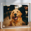 Personalised Rectangular Acrylic Pet Memorial Photo Frame
